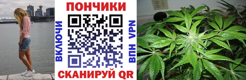 Как найти наркотики Мончегорск Бошки Шишки СК ГАШИШ АМФЕТАМИН КОКАИН Псилоцибиновые грибы Мефедрон