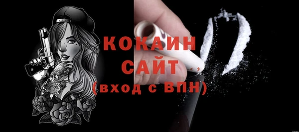 молекула духа Волосово