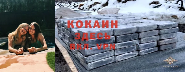 молекула духа Волосово