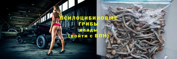 молекула духа Волосово