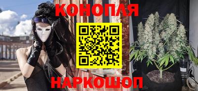 ГАЛЛЮЦИНОГЕННЫЕ ГРИБЫ Пугачёв