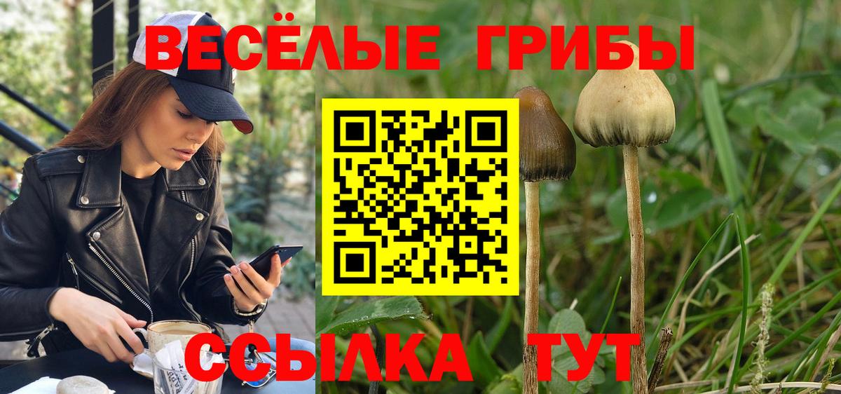 Псилоцибиновые грибы прущие грибы Мончегорск