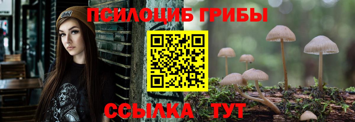 Псилоцибиновые грибы Cubensis  Вход с VPN  Мончегорск 